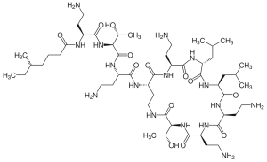 Colistin is an antibiotic of last resort