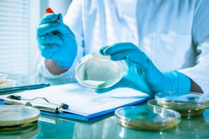 A new gene variant that grants resistance to colistin has been found in salmonella